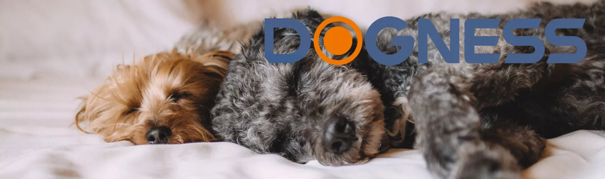 DOGNESS automatinis LED fontanėlis katėms ir šunims, tylus + filtras, 1 l