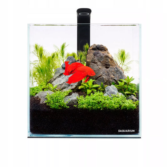 5l akvariumo rinkinys