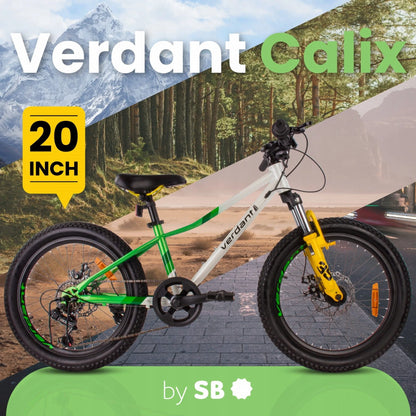 20 colių vaikiškas MTB dviratis, skirtas berniukams ir mergaitėms, Sun Baby Calix, 6 pavaros, baltas