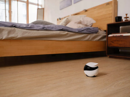 Namų, mobilus stebėjimo robotas Enabot , kamera, pramogos, garsas