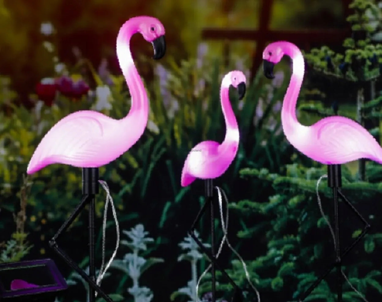3x LED saulės sodo šviestuvai, įmeigiami į žemę, dekoratyviniai flamingai 54 cm