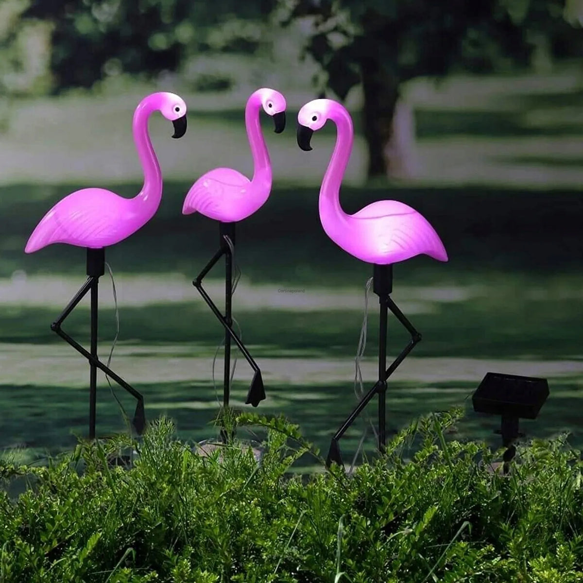 3x LED saulės sodo šviestuvai, įmeigiami į žemę, dekoratyviniai flamingai 54 cm