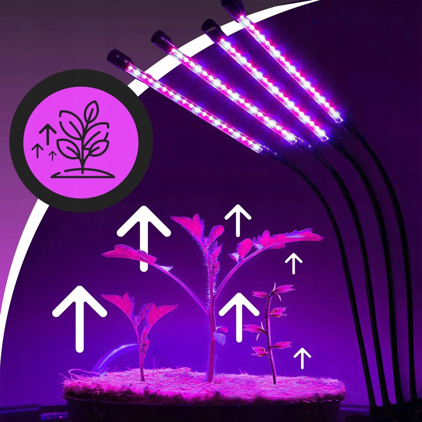 4x AUGALŲ AUGINIMO LEMPA, 80 LED, VISO SPEKTRO, 36 W + PULTELIS, RINKINYS