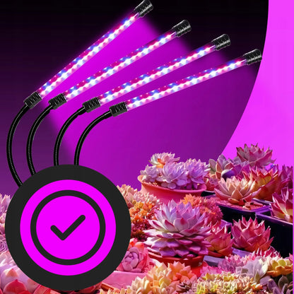 4x AUGALŲ AUGINIMO LEMPA, 80 LED, VISO SPEKTRO, 36 W + PULTELIS, RINKINYS