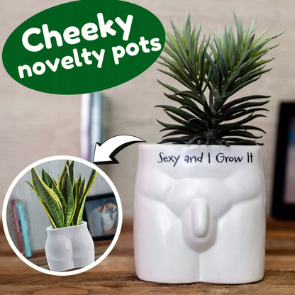 ZABAWNA DONICZKA „SEXY AND I GROW IT” – PREZENT DLA MIŁOŚNIKÓW ROŚLIN – 12 CM