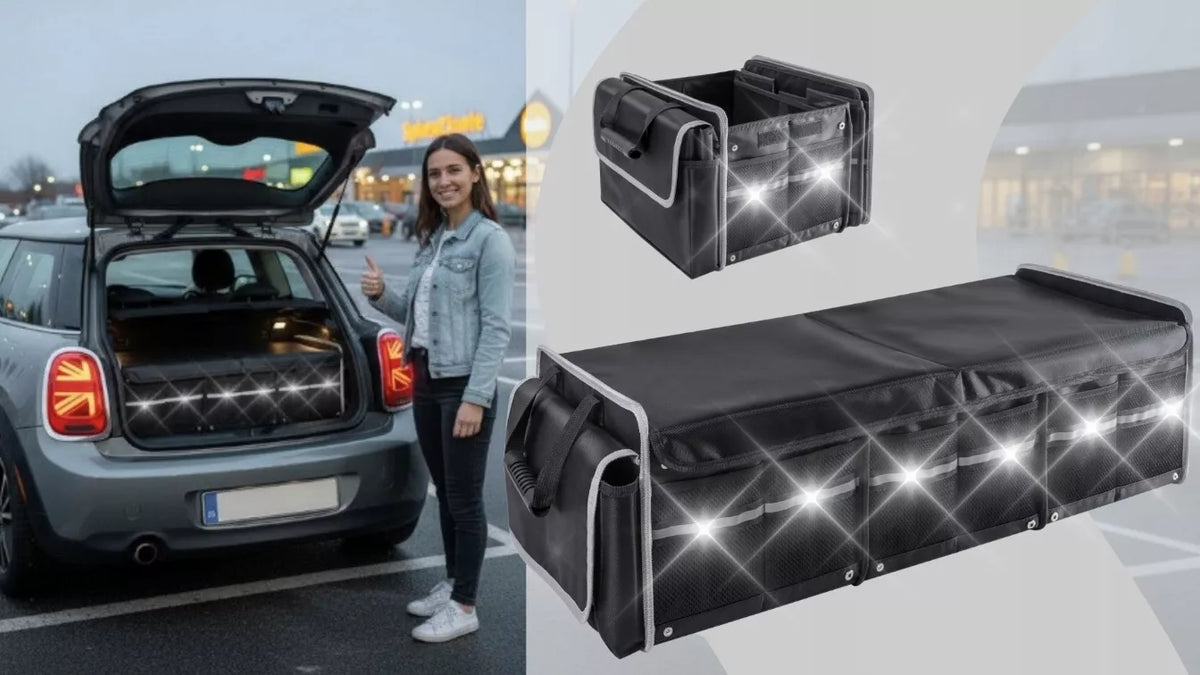 Didelis organizeris automobiliui