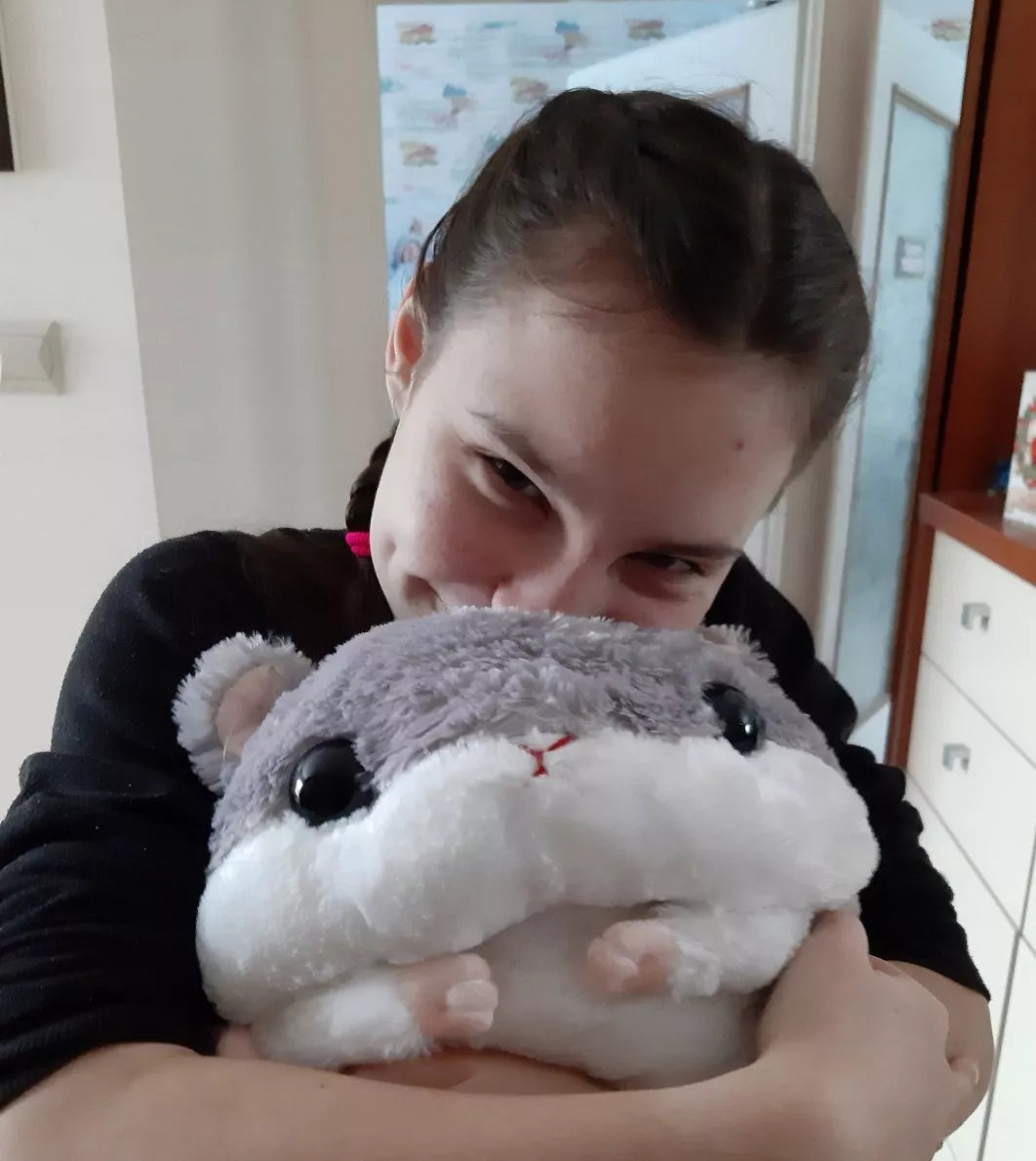 3in1 „Hamsteris“ – minkšta pagalvėlė, antklodėlė ir pliušinis žaislas, puiki dovana