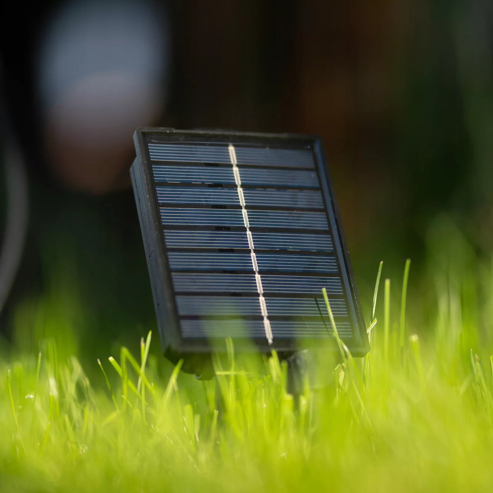 Sodinė girlianda su saulės energija, 20 LED, 10,6 m, RGB, šilta, dekoratyvinė