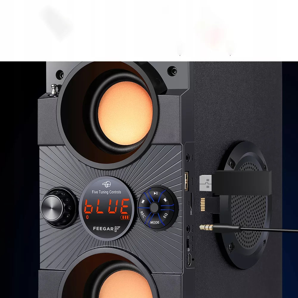 Nešiojamas Bluetooth garsiakalbis Feegar Dance 4000mAh Radijas USB SD AUX 3,5 mm lizdas
