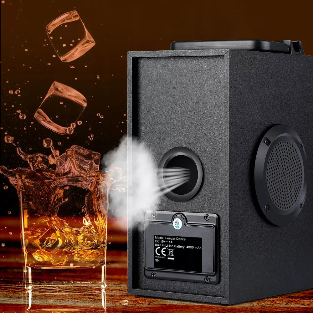 Nešiojamas Bluetooth garsiakalbis Feegar Dance 4000mAh Radijas USB SD AUX 3,5 mm lizdas