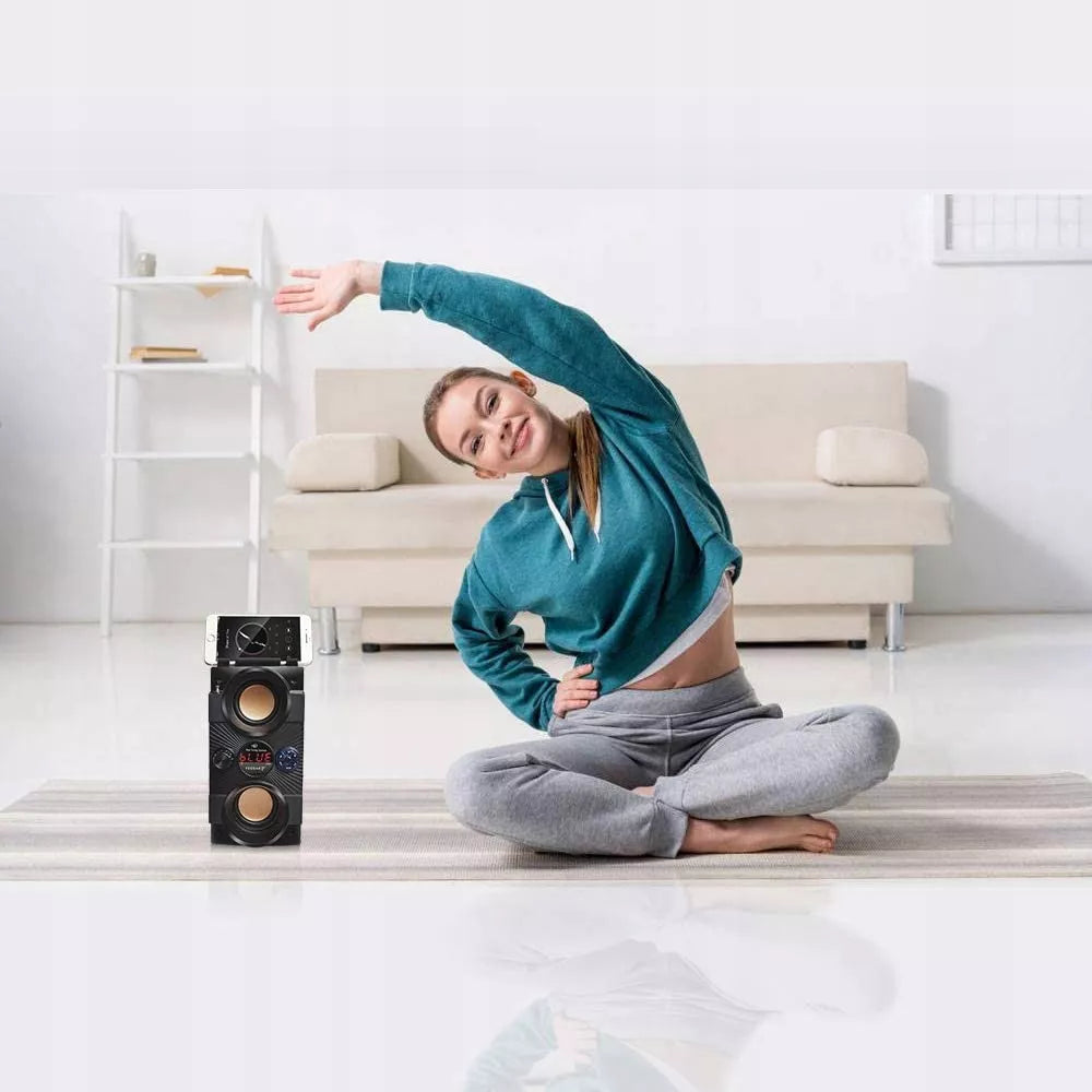 Nešiojamas Bluetooth garsiakalbis Feegar Dance 4000mAh Radijas USB SD AUX 3,5 mm lizdas