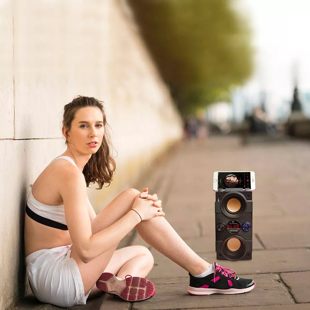 Nešiojamas Bluetooth garsiakalbis Feegar Dance 4000mAh Radijas USB SD AUX 3,5 mm lizdas