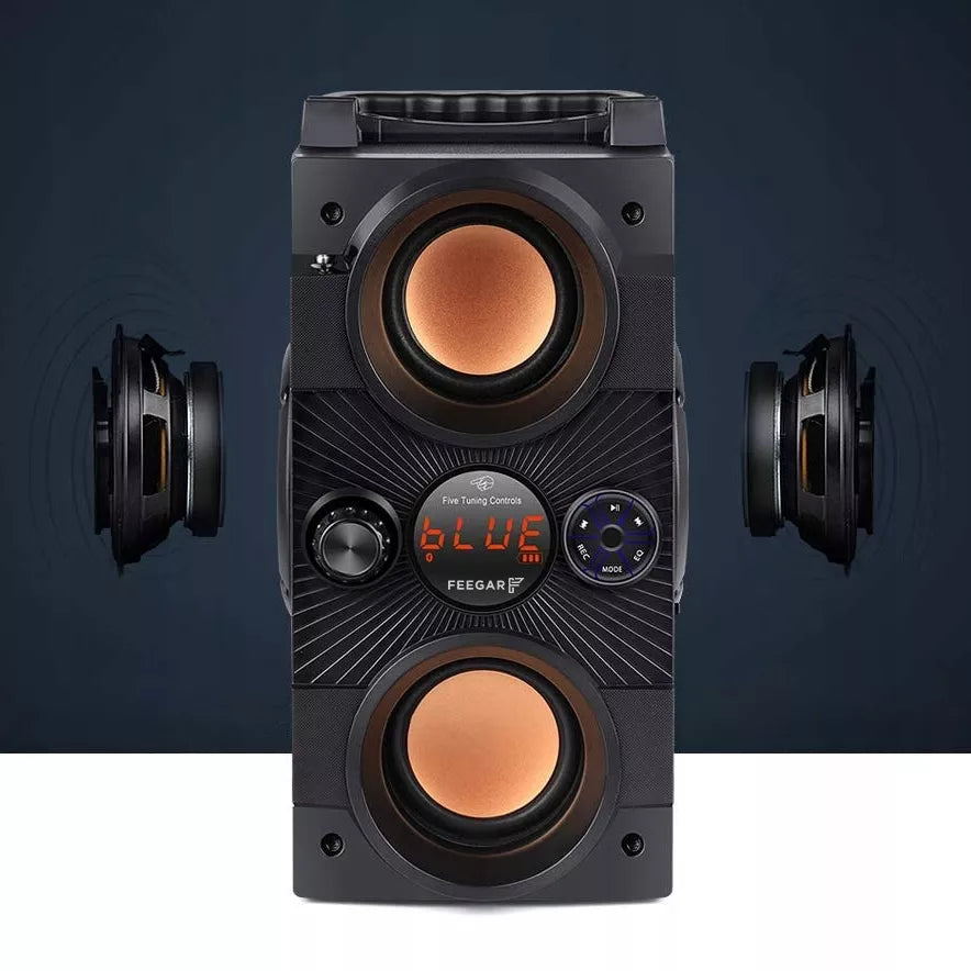 Nešiojamas Bluetooth garsiakalbis Feegar Dance 4000mAh Radijas USB SD AUX 3,5 mm lizdas