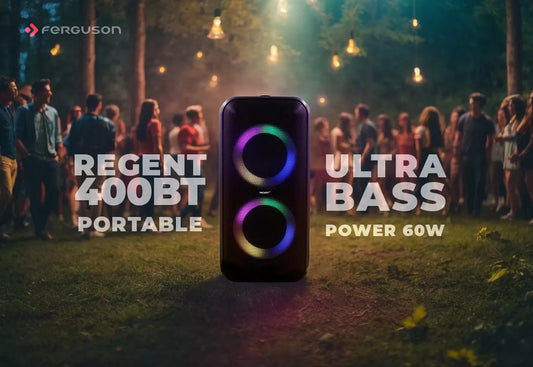 Nešiojamas Karaoke Partybox garsiakalbis  60W FM BT USB AUX