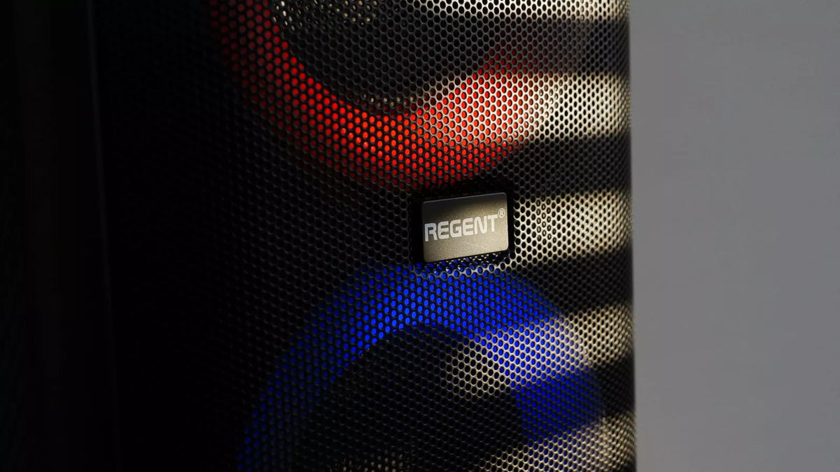 Nešiojamas Karaoke Partybox garsiakalbis  60W FM BT USB AUX