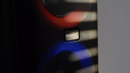 Nešiojamas Karaoke Partybox garsiakalbis  60W FM BT USB AUX