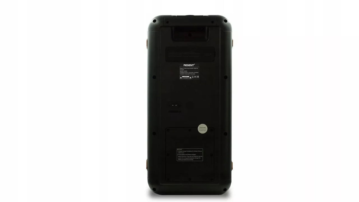 Nešiojamas Karaoke Partybox garsiakalbis  60W FM BT USB AUX
