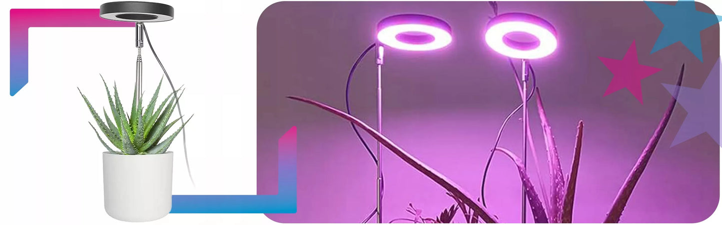 LED lempa augalams, apvali, su laikmačiu, skirta augalams auginti ir papildomam apšvietimui