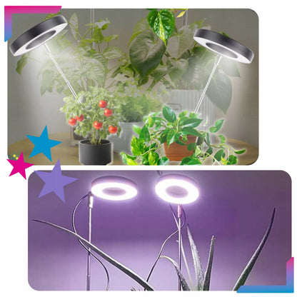 LED lempa augalams, apvali, su laikmačiu, skirta augalams auginti ir papildomam apšvietimui