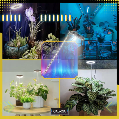 GALAXIA LED augalų lempa augimui, augalų apšvietimas su laikmačiu