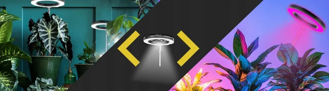 GALAXIA LED augalų lempa augimui, augalų apšvietimas su laikmačiu