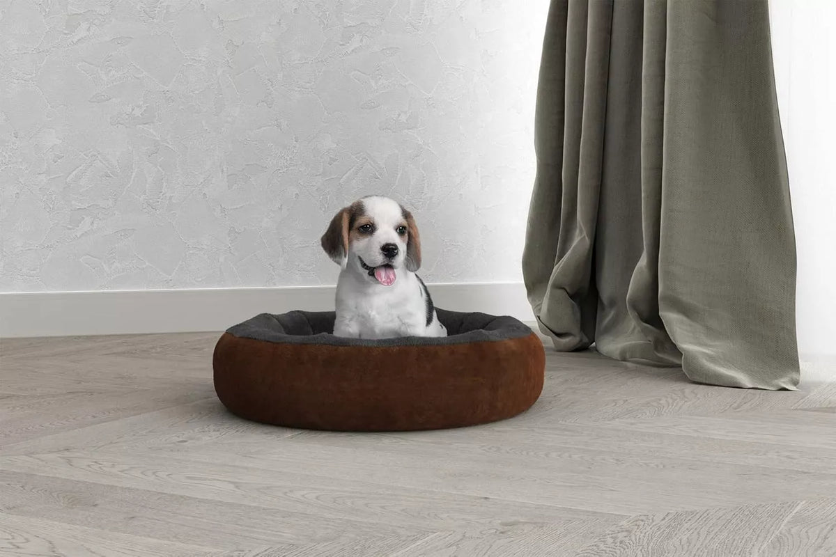 GUULIS TAISYKLES ŠUNIUI IR KATEI 50x50x19 CM SOFA APVALUS GUULIS ŠUNIMS M DYDIS