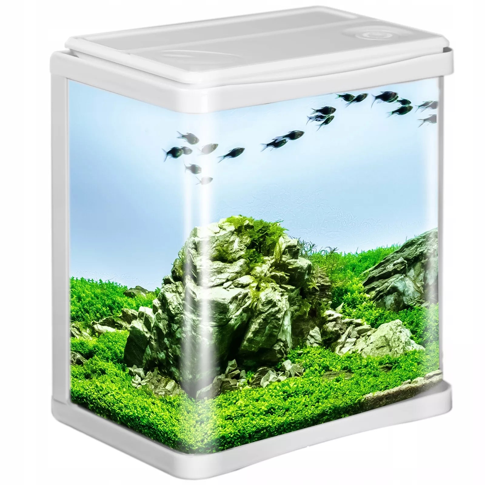 Mažas akvariumas 3 l su įranga – filtras su aeratoriumi ir apšvietimu
