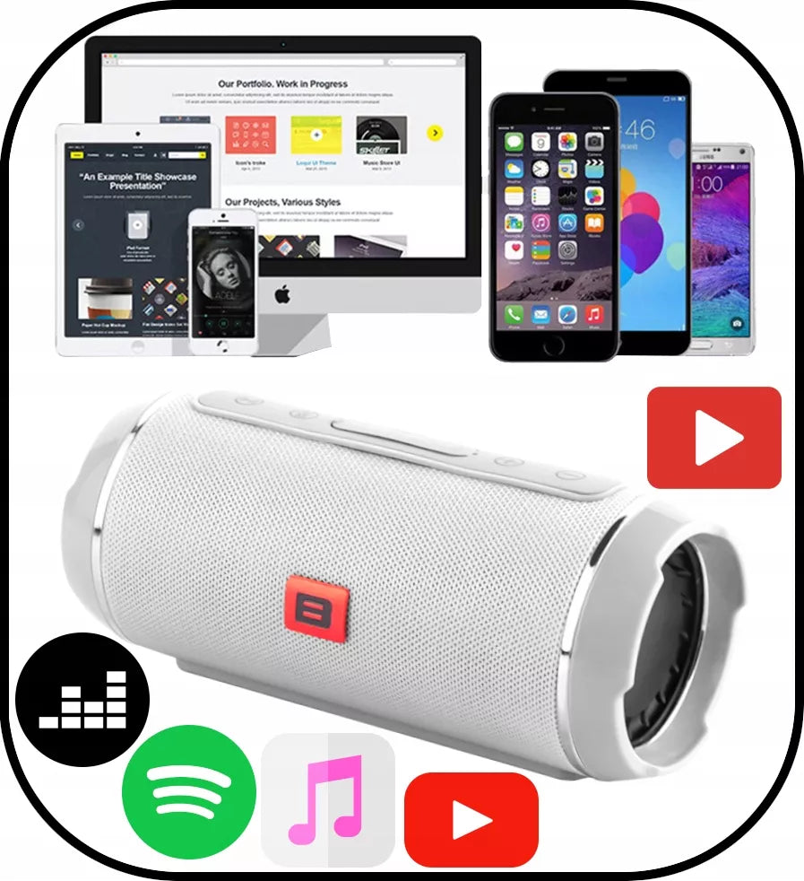 Galingas Bluetooth garsiakalbis USB SD Nešiojamas Belaidis Radijas Boombox