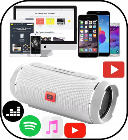 Galingas Bluetooth garsiakalbis USB SD Nešiojamas Belaidis Radijas Boombox