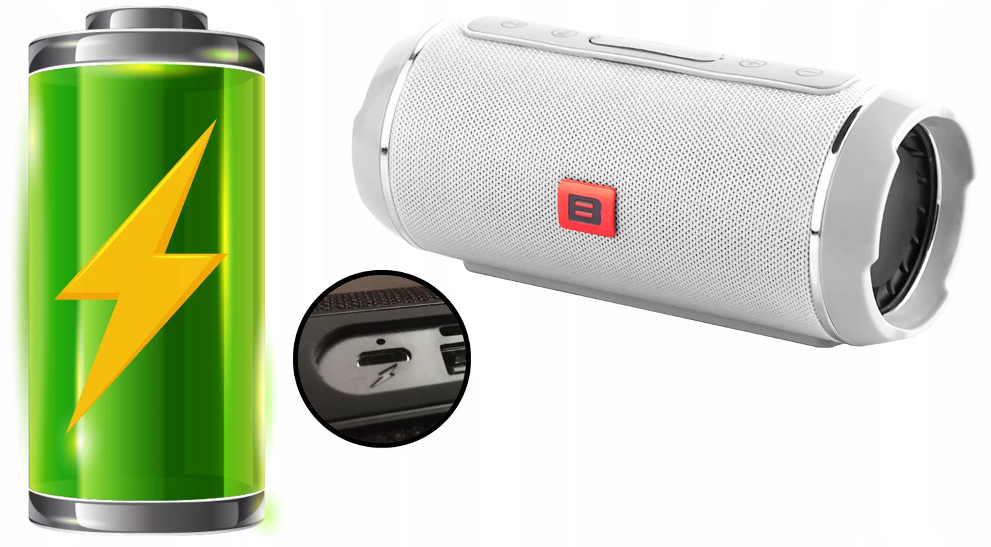 Galingas Bluetooth garsiakalbis USB SD Nešiojamas Belaidis Radijas Boombox