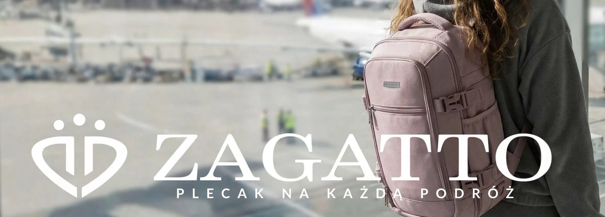 Lėktuvo kuprinė RYANAIR 40x30x20 kabininis turistinis bagažas