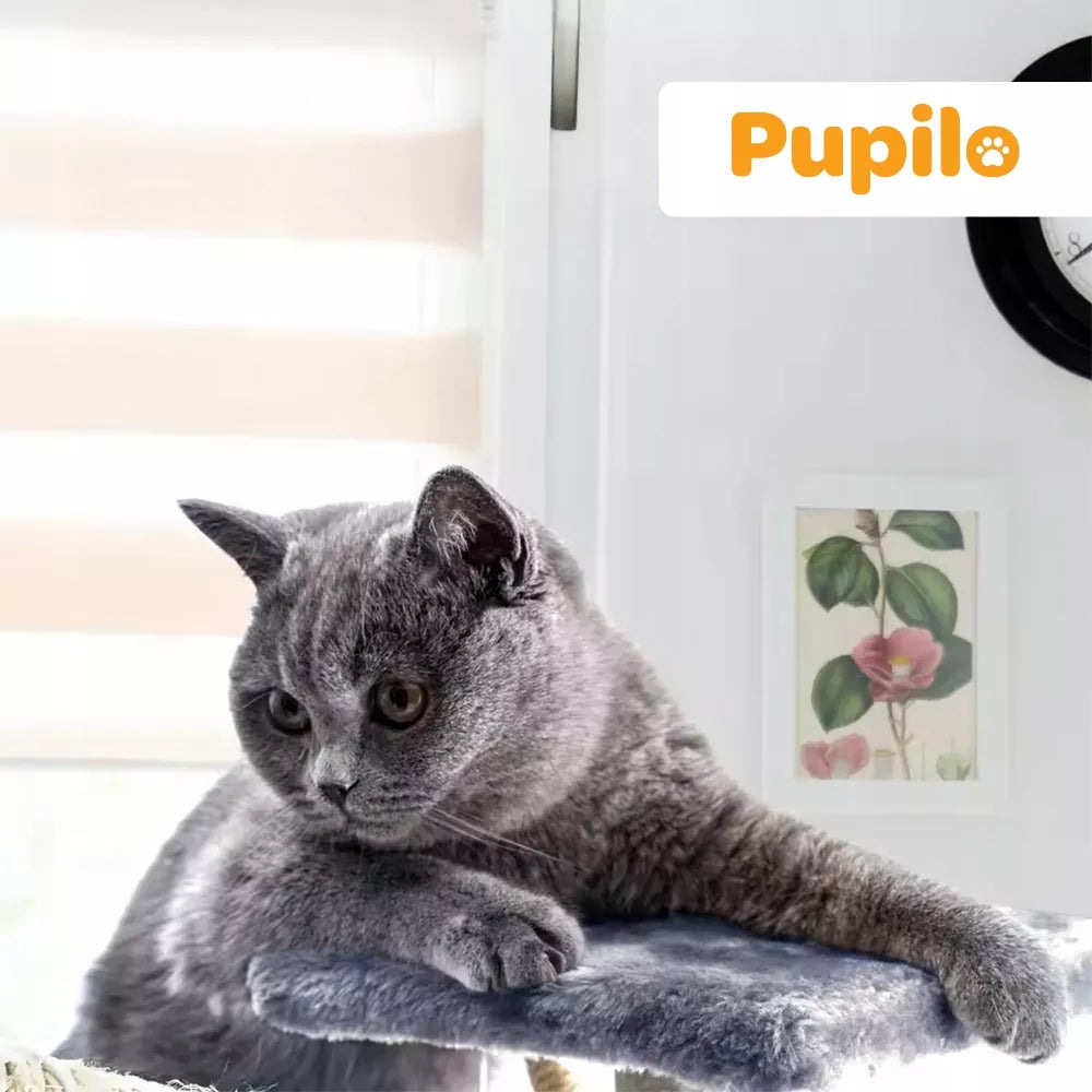 Pupilo namelis draskyklė guolis hamakas kopetėlės katėms žaislai pelės sizalis
