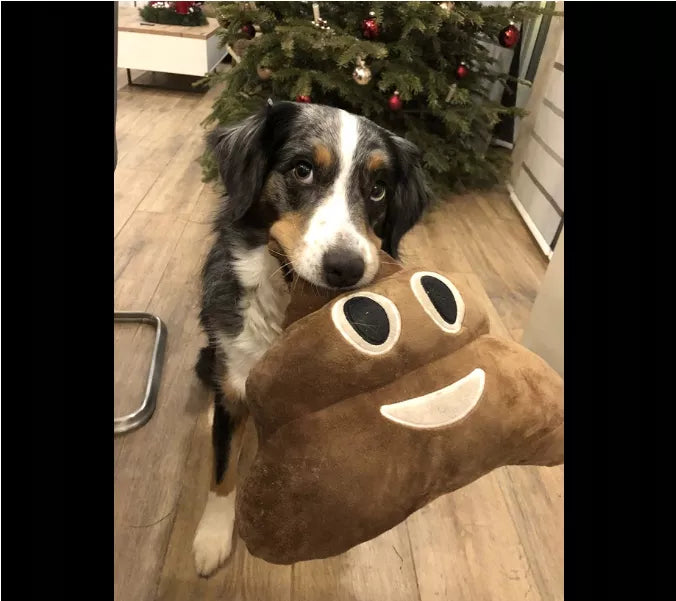 Juokinga „Poop“ pagalvėlė 35 cm
