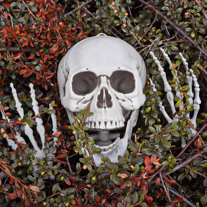 Dydelis (170 cm) skeletas - tamsi Halloweeno dovana ir dekoracija