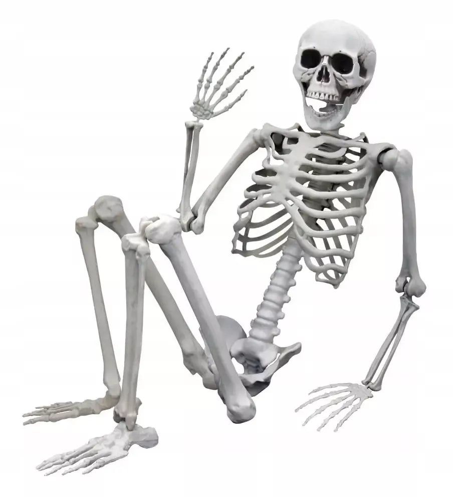 Dydelis (170 cm) skeletas - tamsi Halloweeno dovana ir dekoracija