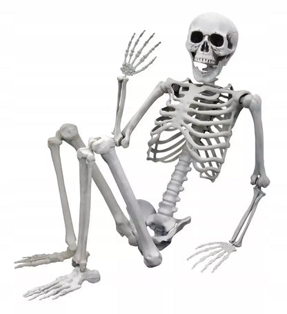 Dydelis (170 cm) skeletas - tamsi Halloweeno dovana ir dekoracija