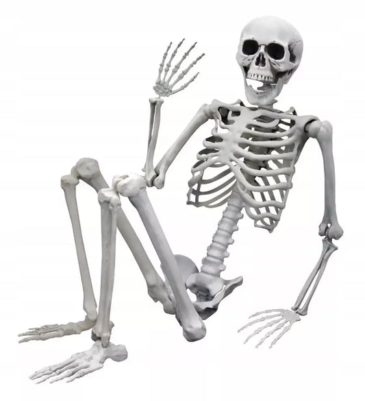 Dydelis (170 cm) skeletas - tamsi Halloweeno dovana ir dekoracija