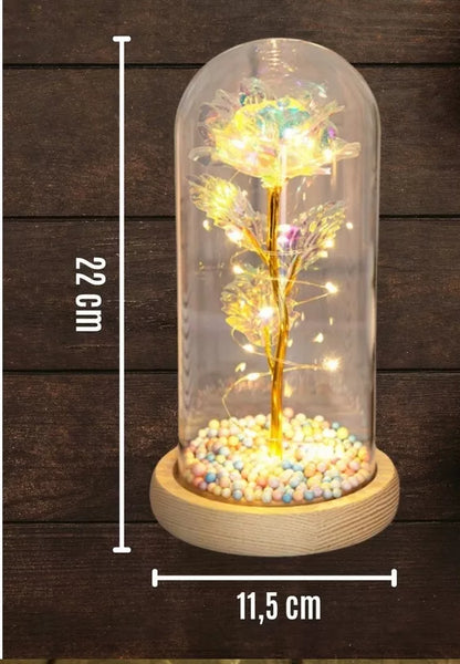Amžina balta rožė stiklinėje su LED – dangtelio formos lempa