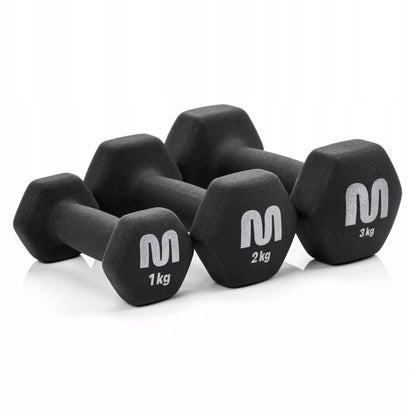 Hantelių rinkinys su stovu – 2×3, 2, 1 kg svoriai sportui