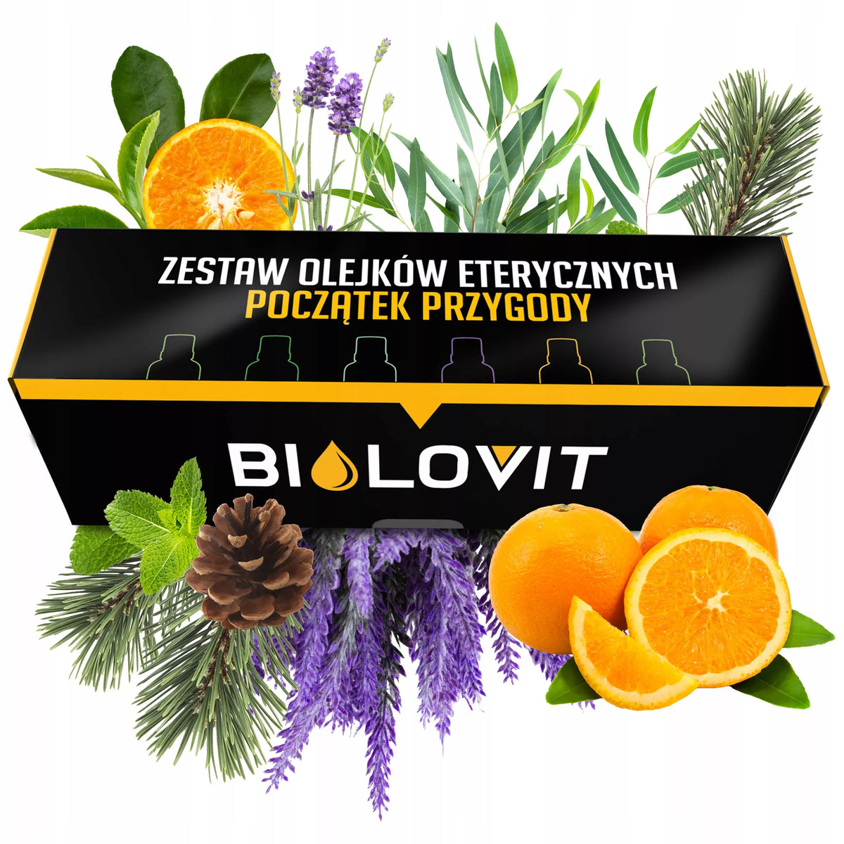 Eterinių Aliejų Rinkinys Pradžia Kelionė Dovana Aromaterapija 6x 10ml