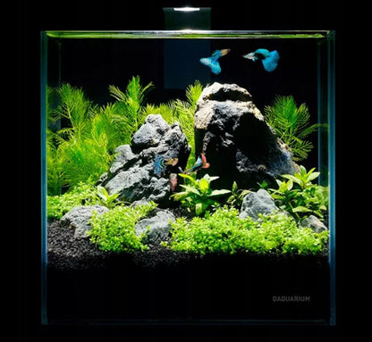 5l akvariumo rinkinys