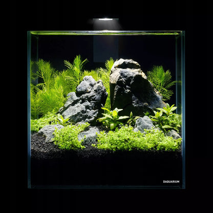 5l akvariumo rinkinys