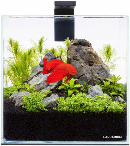 5l akvariumo rinkinys