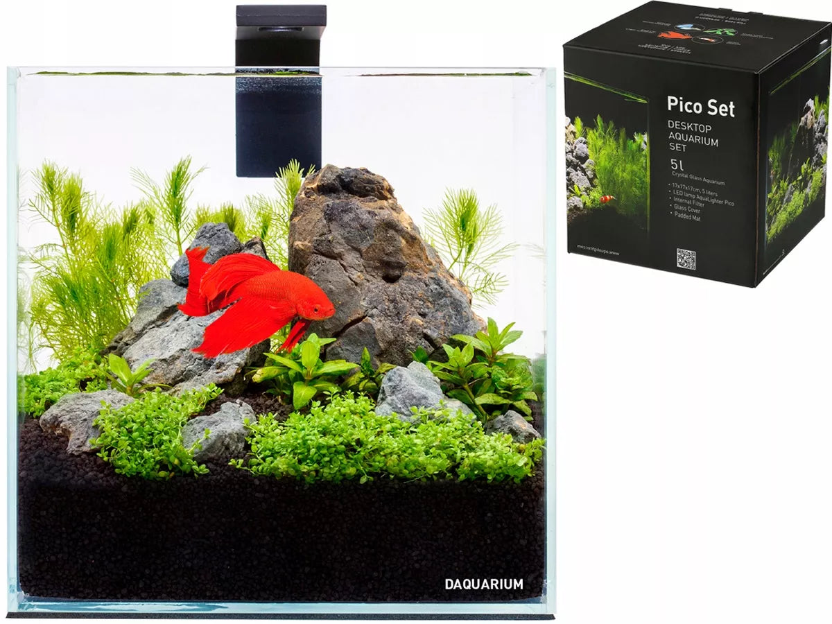 5l akvariumo rinkinys
