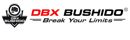 Bushido bokso pirštinės kickboksui 10oz