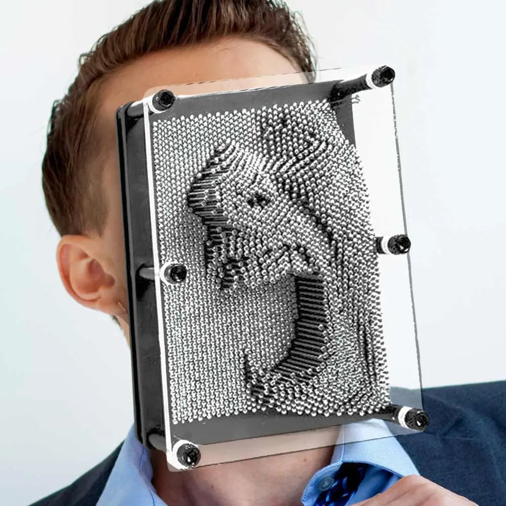 Didelė metalinė 3D PIN ART adatėlių lenta – originalus stalo žaislas
