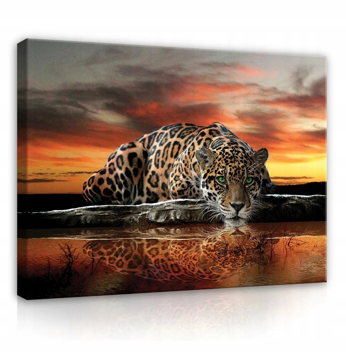 Didelis tigro paveikslas ant drobės su rėmu, safari gyvūnai, 100 × 70 cm