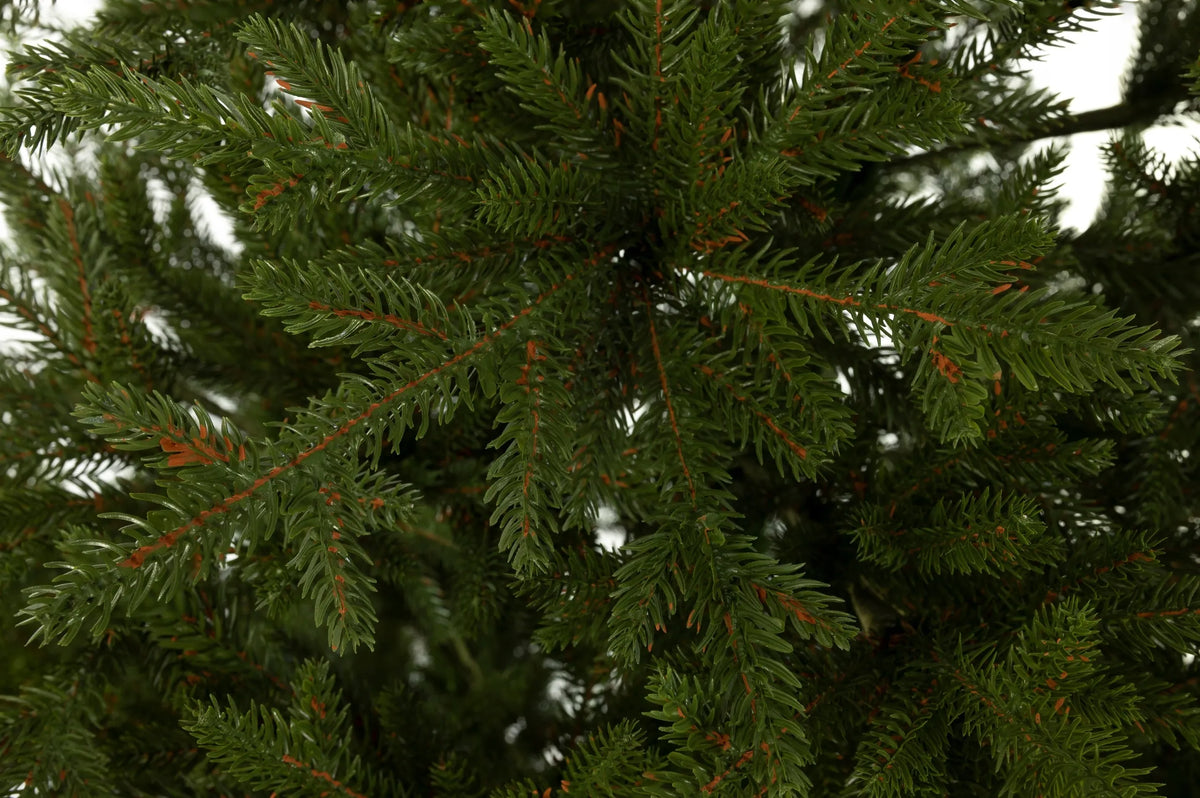 Dirbtinė eglė „Świerk Natura 3D“ – FULL PE PREMIUM, 220 cm, tikroviška, 100 % PE