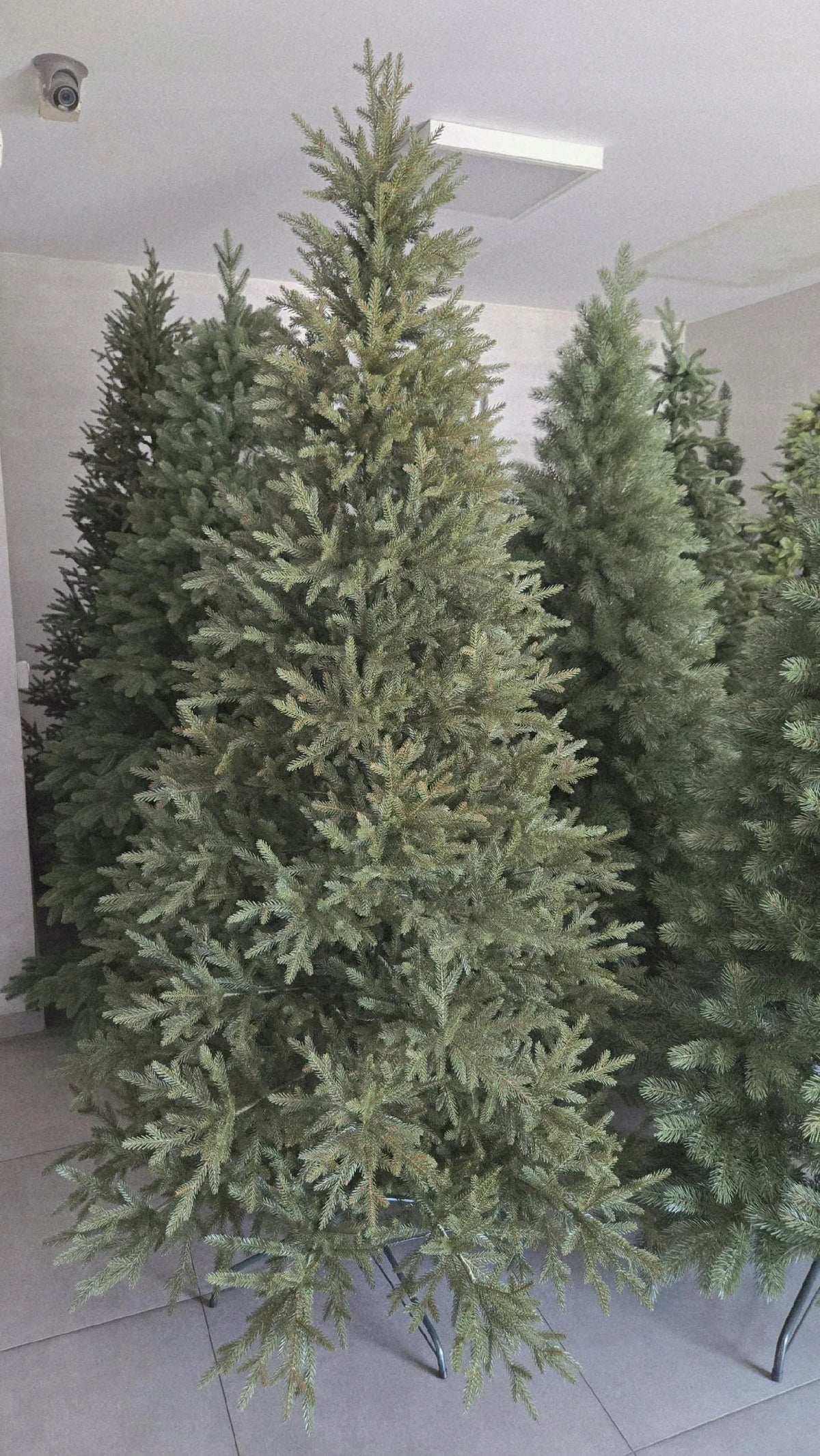 Dirbtinė eglutė „Świerk Natural“, 100 % PE, aukščiausios kokybės, tikroviška, 180 cm