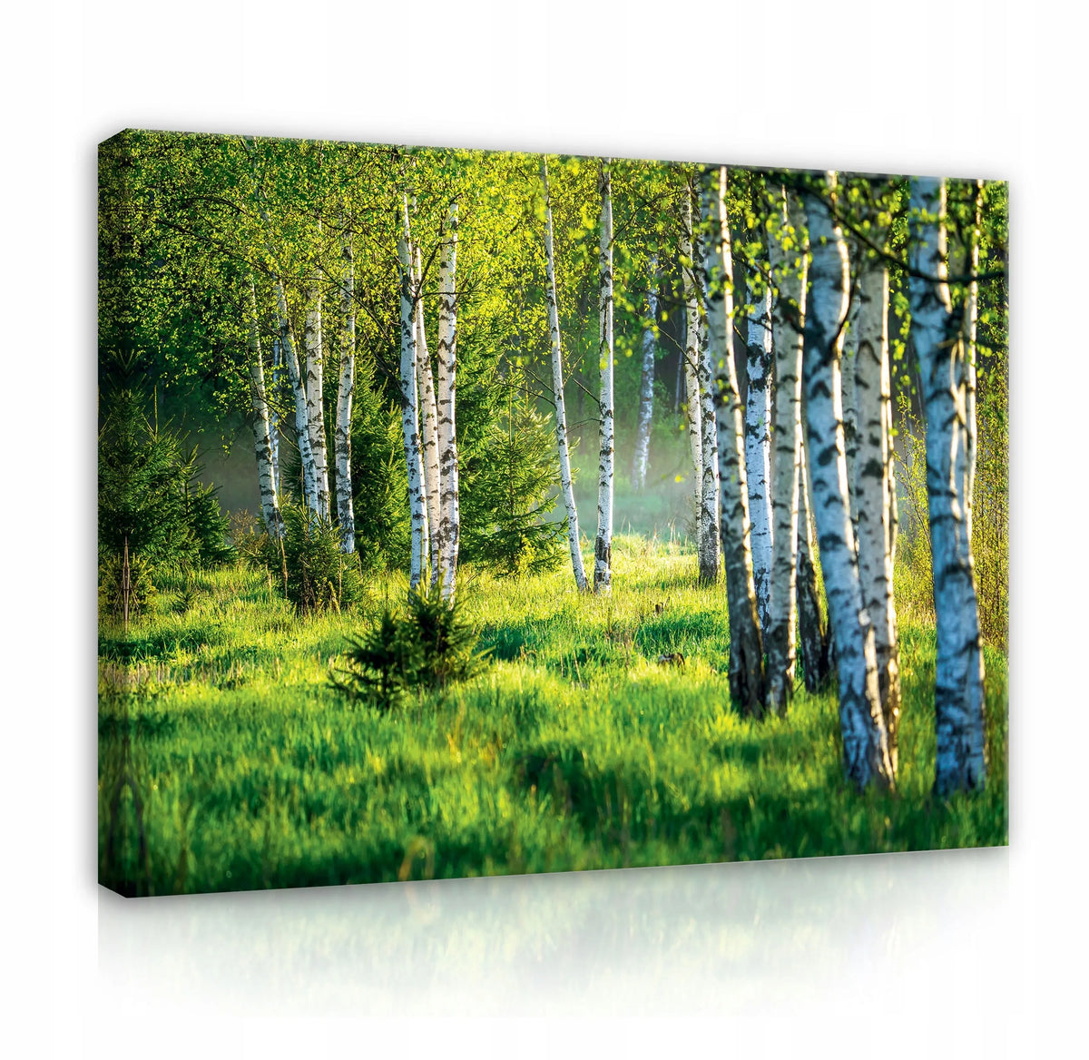 Drobės paveikslas sienai „Las Natura Widok“, miško peizažas, 80 × 60 cm, Wallarena